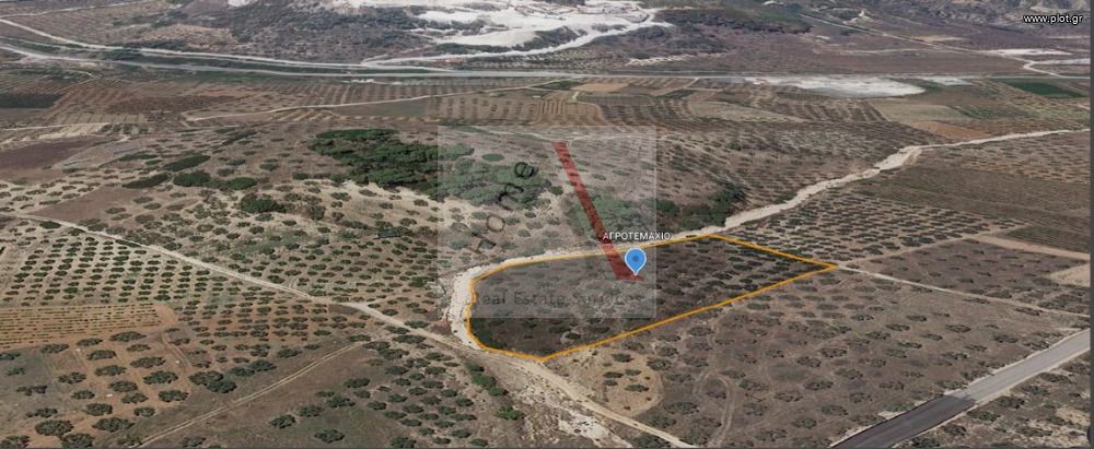Οικόπεδο 6.000 τ.μ. προς πώληση, Εξαμίλια