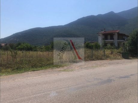 Αγροτεμάχια 905 τ.μ. για πώληση