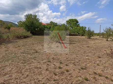 Αγροτεμάχια 1.800 τ.μ. για πώληση