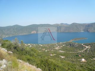 Αγροτεμάχια 1.080 τ.μ. για πώληση