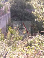 Αγροτεμάχια 297 τ.μ. για πώληση, Εύβοια, Αμάρυνθος-thumb-3