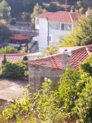 Αγροτεμάχια 297 τ.μ. για πώληση, Εύβοια, Αμάρυνθος-thumb-4