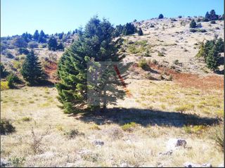 Οικόπεδο 2.016 τ.μ. για πώληση, Εύβοια, Αμάρυνθος-thumb-1