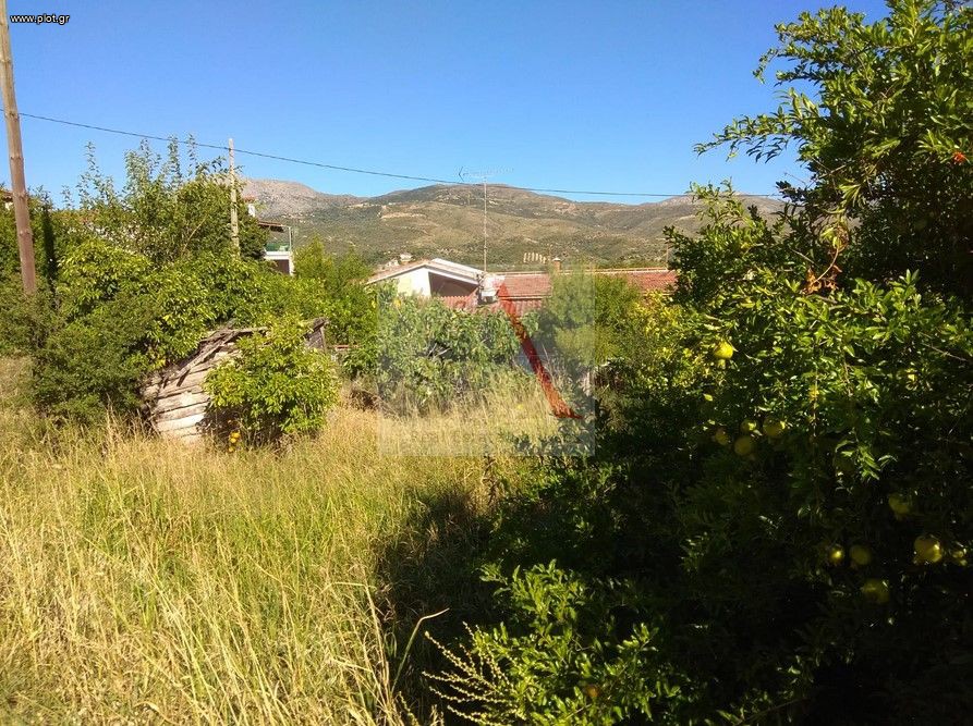 Αγροτεμάχια 450 τ.μ. προς πώληση, Όριο Αυλώνας