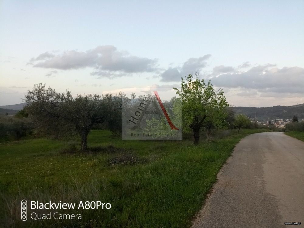 Οικόπεδο 1.462 τ.μ. προς πώληση, Αθίκια