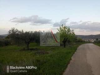 Οικόπεδο 1.462 τ.μ. για πώληση