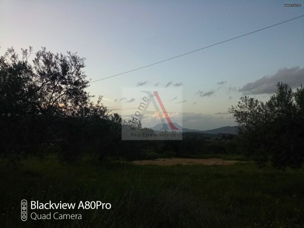 Οικόπεδο 1.462 τ.μ. προς πώληση, Αθίκια