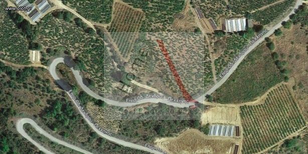 Οικόπεδο 13.000 τ.μ. προς πώληση, Μερτικαίικα