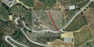 Οικόπεδο 13.000 τ.μ. για πώληση