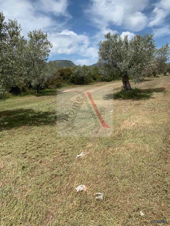 Οικόπεδο 12.147 τ.μ. προς πώληση, Γαλότα