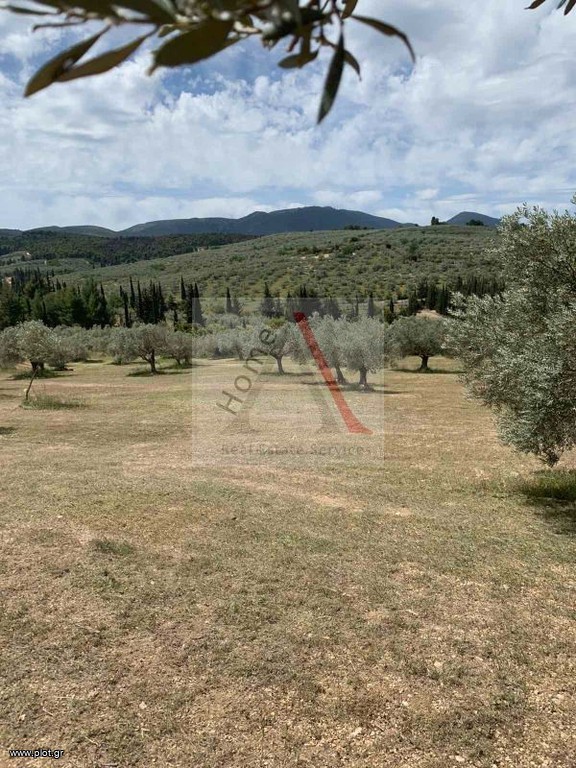 Οικόπεδο 12.147 τ.μ. προς πώληση, Γαλότα
