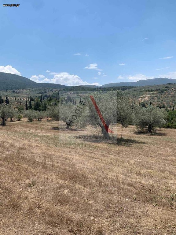 Οικόπεδο 12.147 τ.μ. προς πώληση, Γαλότα