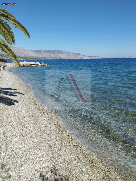 Αγροτεμάχια 300 τ.μ. προς πώληση, Κέντρο Αγίων Θεοδώρων