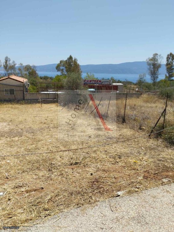 Αγροτεμάχια 300 τ.μ. προς πώληση, Κέντρο Αγίων Θεοδώρων