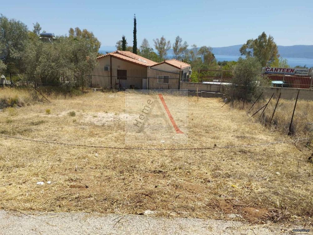 Αγροτεμάχια 300 τ.μ. προς πώληση, Κέντρο Αγίων Θεοδώρων