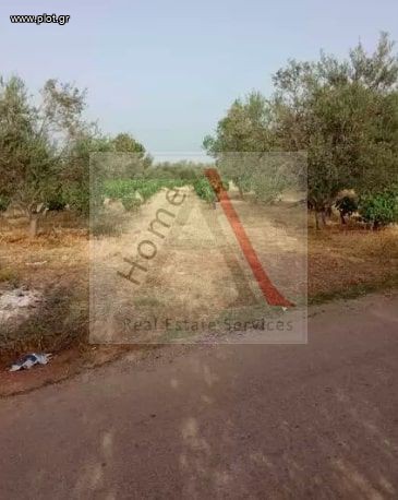 Οικόπεδο 4.000 τ.μ. προς πώληση, Μερτικαίικα