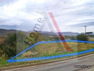 Αγροτεμάχια 568 τ.μ. προς πώληση, Κέντρο Αγίων Θεοδώρων
