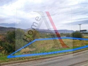Αγροτεμάχια 568 τ.μ. για πώληση