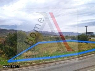 Parcel 568 sqm for sale, Corinthia, Agioi Theodoroi