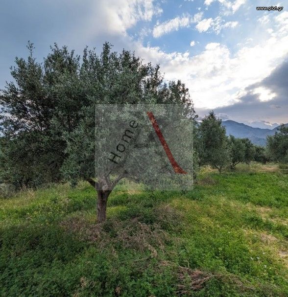 Οικόπεδο 1.685 τ.μ. προς πώληση, Πενταμόδι