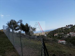 Αγροτεμάχια 350 τ.μ. για πώληση