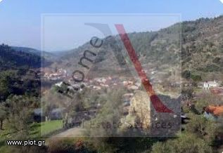 Οικόπεδο 7.609 τ.μ. για πώληση, Εύβοια, Δίρφυς