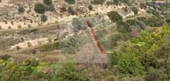 Οικόπεδο 13.000 τ.μ. προς πώληση, Κρήνες