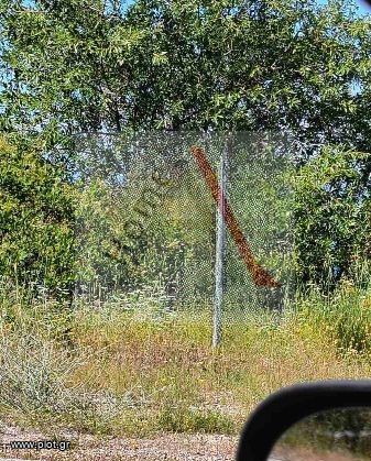 Αγροτεμάχια 400 τ.μ. προς πώληση, Κουμαριάς