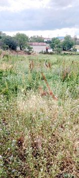 Land 600 sqm for sale