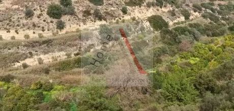 Land plot 13.000 sqm for sale
