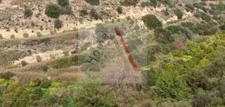 Οικόπεδο 13.000 τ.μ. για πώληση