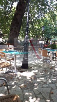 Αγροτεμάχια 2.650 τ.μ. για πώληση