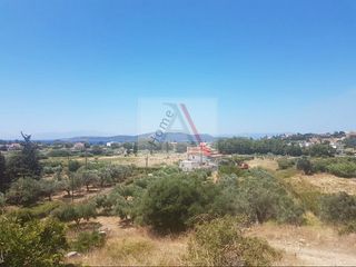 Οικόπεδο 5.281 τ.μ. για πώληση