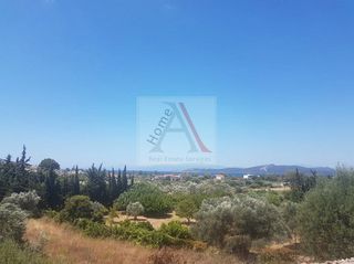 Οικόπεδο 5.281 τ.μ. προς πώληση, Νέα Στύρα-thumb-1