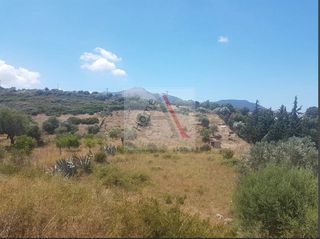 Οικόπεδο 5.281 τ.μ. προς πώληση, Νέα Στύρα-thumb-2