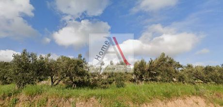 Άλλο 200 τ.μ. για πώληση