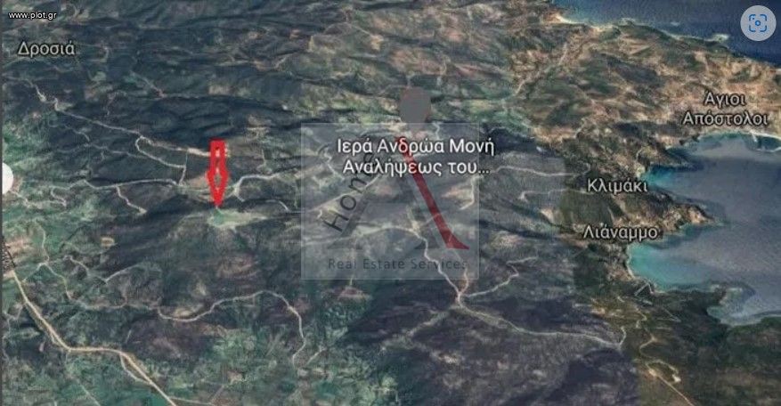 Οικόπεδο 25.000 τ.μ. προς πώληση, Πετριές