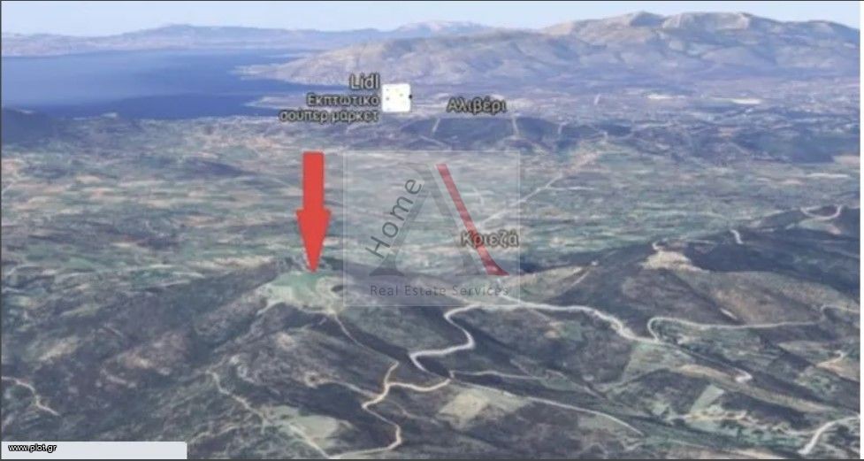 Οικόπεδο 25.000 τ.μ. προς πώληση, Πετριές