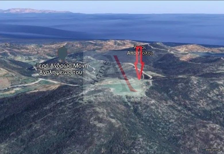 Οικόπεδο 25.000 τ.μ. προς πώληση, Πετριές