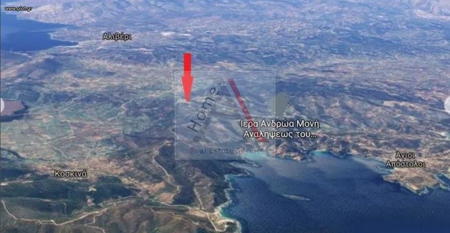 Οικόπεδο 25.000 τ.μ. προς πώληση, Πετριές