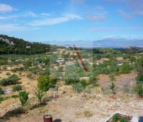 Αγροτεμάχια 2.050 τ.μ. για πώληση
