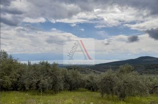 Οικόπεδο 22.000 τ.μ. για πώληση