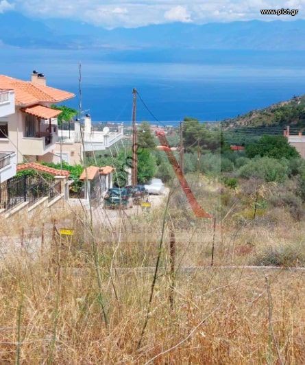 Αγροτεμάχια 600 τ.μ. προς πώληση, Εβροστίνα