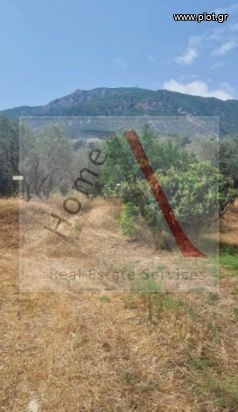 Αγροτεμάχια 800 τ.μ. προς πώληση, Κάτω Πιτσά