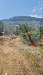 Αγροτεμάχια 800 τ.μ. για πώληση