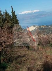 Αγροτεμάχια 1.400 τ.μ. για πώληση