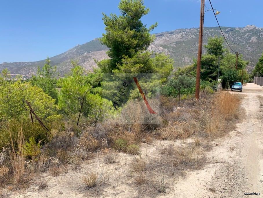 Αγροτεμάχια 1.000 τ.μ. προς πώληση, Λουτράκι Κορινθίας