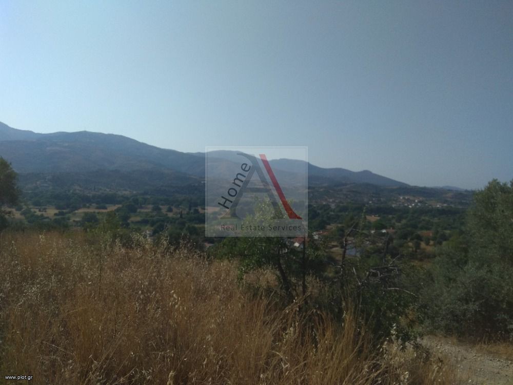 Αγροτεμάχια 1.699 τ.μ. προς πώληση, Όριο Αυλώνας