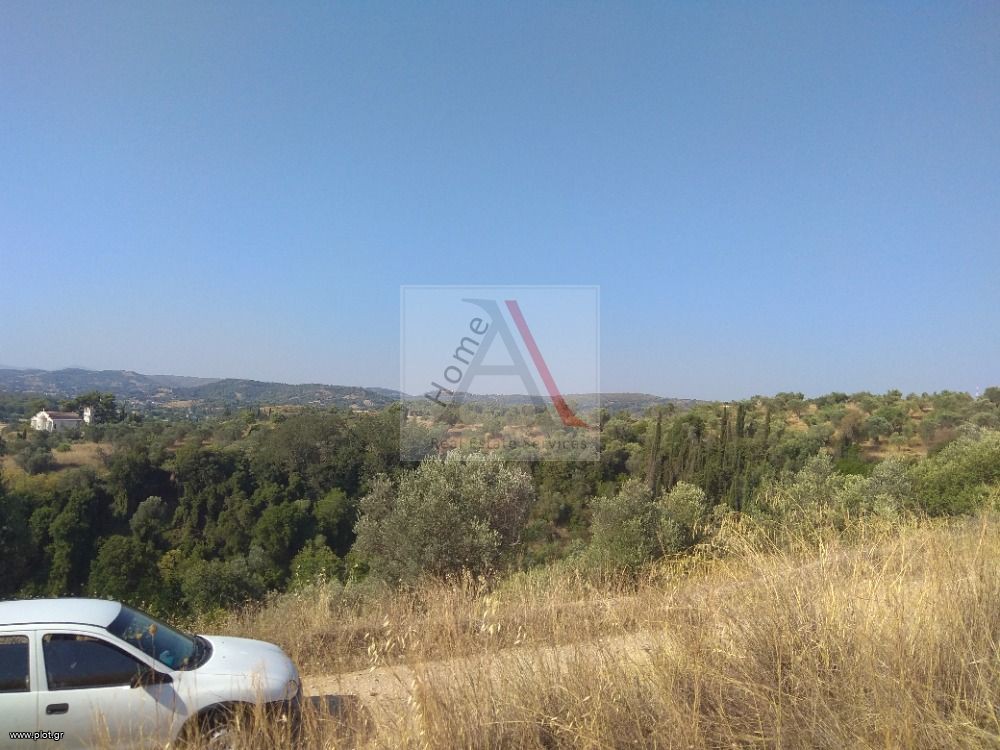 Αγροτεμάχια 1.699 τ.μ. προς πώληση, Όριο Αυλώνας