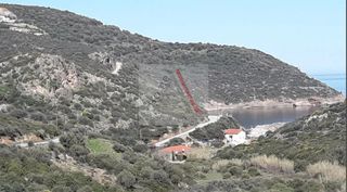 Αγροτεμάχια 2.490 τ.μ. για πώληση